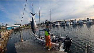 Chasing bluefin tuna solo in a 4.2m tinny over 40 mile offshore