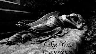 Like You - Evanescence (Lyric Video)