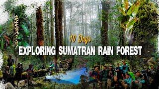 10 Hari Jelajah Hutan Sumatera / 10 Days Exploring SUMATRAN Rainforest / @zackykerinci8232