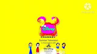 Disney Channel SunRise Television/Walt Disney SunRise Television (but It's Made in 2000) (60f)