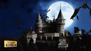 Halloween Animation With The Concept Of Bats Flying Background Of Moon And Haunted Castle