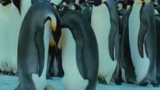 Alexander Rybak  - If you were gone  (FAIRYTALES ALBUM 2009)