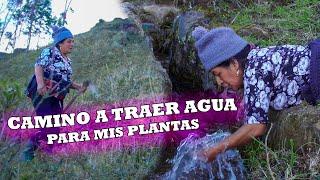 ACOMPAÑENME A LLEVAR AGUA DESDE LA MONTAÑA | Señora Marianita