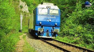 Trafic Feroviar in Muntii Apuseni/Rail Traffic in Apuseni Mountains [Spring Edition] - 01 May 2017