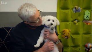 Paul O'Grady: For the Love of Dogs S09E1 Full Episode