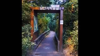 #버티고개역#남산자락길