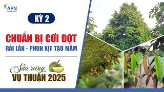 APN - CHUẨN BỊ CƠI ĐỌT, RẢI LÂN, PHUN XỊT TẠO MẦM | SẦU RIÊNG VỤ THUẬN 2025