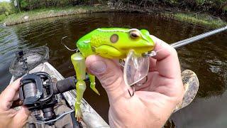 Fishing With Freddy The Frog!