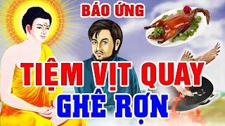 Luật Nhân Quả Không Bỏ Sót 1 Ai, G.I.Ế.T VỊT ĐỂ LÀM GIÀU - Cái Kết Bi Thảm Cho Việc Sát Sinh | Báo