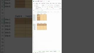 How to Pre-Select Cells in Excel to Enter Data Quickly (Productivity Hack)