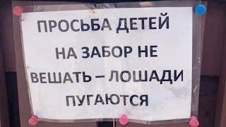 ЛЮТЫЕ ОБЪЯВЛЕНИЯ: ДЕТЕЙ НА ЗАБОР НЕ ВЕШАТЬ - ЛОШАДИ ПУГАЮТСЯ :DD