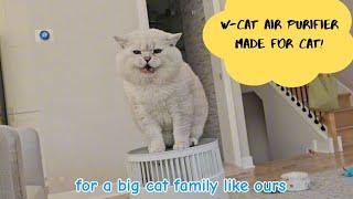 Breath Better! New Air Purifier for Cats at Home!