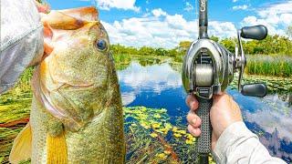 Searching The River For GIANT Early SUMMER Bass (Crazy Bites)
