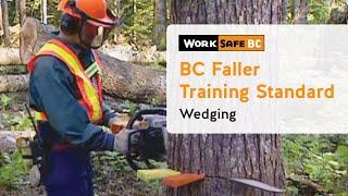 BC Faller Training Standard - Wedging (9 of 17)