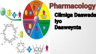 101: Pharmacology 1 |Chapter one| introduction|