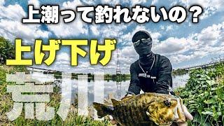 上潮と下潮どっちが釣れる？荒川本流川スモール　バス釣り