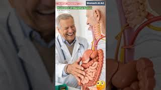 Animation of Digestive System | Stomach AI Art | 55