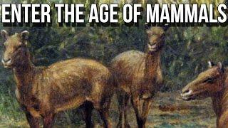 Dawn of the Age of Mammals