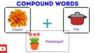 Compound Words for Kids in English | Learning English for Children