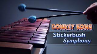 Donkey Kong - Stickerbrush Symphony 