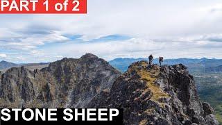 The Definition of Success Stone Sheep Part 1 | Greg McHale's Wild Yukon