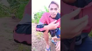 MALING CABE RAWIT | KOMEDI PENDEK | HIBURAN