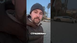 Вася Обломов - РАСЦВЕТАЮТ ПОД ПАЛЬМОЙ МАГНОЛИИ...