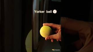 How to bowl a Perfect full Yorker | 100% works 2 Tricks #cricketpro #india #yorkerking