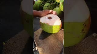 The Art of Coconut Cutting (ASMR)