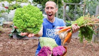 Permaculture Garden Harvest | Organic BACKYARD Gardening at it's Best