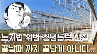 콘크리트 작업 실수로 농지법 위반한 청년창업농 현황 - #귀농 #스마트팜