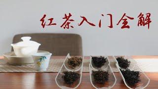 【六大茶类3】红茶的基础知识全人声字幕讲解，红茶合集