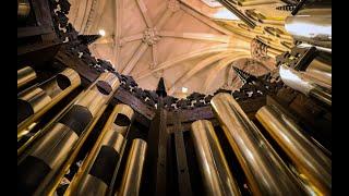Making A New Pipe Organ: Medieval Technology in the 21st Century