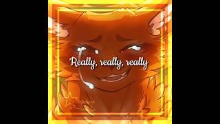 Wannabe - SquirrelFlight edit // #cookieeditingcomp #warriorcats #squirrelflight #roadto4k