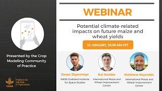 Webinar - Potential climate related impacts on future wheat and maize yields