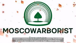 Moscow arborist