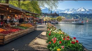 SPRING MORNING MARKET IN LUCERNE  | SWITZERLAND’S MOST BEAUTIFUL CITY