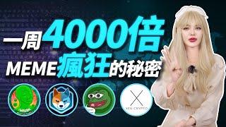 一星期從2000u幹到800萬，千倍金狗到底存在什麼魔力？┃這期扒一扒MEME幣爆火背後的邏輯！#Aidoge #pepe  #memecoin