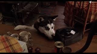 snow dogs (2002) - demon finds the toothpaste