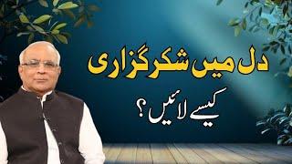 How to Bring Gratitude to Life? | دل میں شکر گزاری کیسے لائیں؟ | Qibla Syed Sarfraz Ahmad Shah Sahab