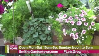 Smiths Gardentown, May Flowers 2020