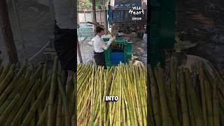 Processing Brown Sugar Blocks