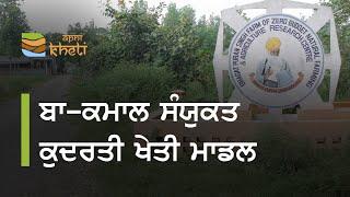 ਇੱਕ ਏਕੜ ਤੋ ਢਾਈ ਏਕੜ ਦੀ ਕਮਾਈ ਵਾਲਾ ਖੇਤੀ ਮਾਡਲ I Pingalwara Zero Budget Natural farm , Amritsar