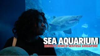 SEA AQUARIUM Sentosa | Singapore Trip