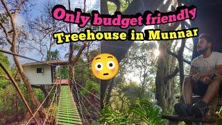 Munnar Treehouse Stay | Silvertrees Plantation treehouse #munnarvlog #munnarbudget #munnarresorts