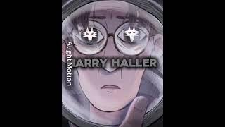 Harry Haller vs Animanga & VN