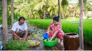 Lươn Đồng Um Lá Nhàu, Món Ăn Vừa Ngon Lại Nên Thuốc, Cả Nhà Bên Mâm Cơm Chiều Muộn | MTQH