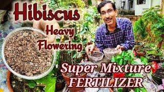 Super Mixture Fertilizer for Hibiscus for Heavy Blooming