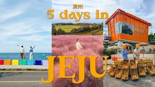 5 days in Jeju  濟州 (local must-eat, aesthetic villa, cute cafes) | jeju trip