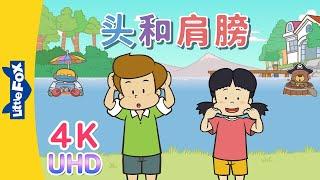 [4K] 头和肩膀 (Head and Shoulders) | Sing-Alongs | Chinese song | By Little Fox